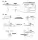 Fig. 97 - Methods and compositions for RNA-directed target DNA modification and for RNA-directed modulation of transcription