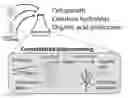 Fig. 01 - Compositions and methods for production of organic acids