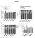 Fig. 07 - METHODS AND COMPOSITIONS FOR cDNA SYNTHESIS AND SINGLE-CELL TRANSCRIPTOME PROFILING USING TEMPLATE SWITCHING REACTION