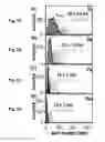 Fig. 06 - Controlled growth of ultranarrow nanowires on functionalized 2D materials
