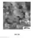 Fig. 10 - Method of making NiO nanoparticles for electrocatalytic water splitting