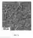 Fig. 13 - Method of making NiO nanoparticles for electrocatalytic water splitting