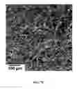 Fig. 15 - Method of making NiO nanoparticles for electrocatalytic water splitting
