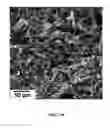 Fig. 16 - Method of making NiO nanoparticles for electrocatalytic water splitting