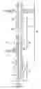 Fig. 02 - Mandrel head for wellhead isolation tool and method of use