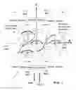 Fig. 06 - Twin M-VAWT