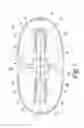 Fig. 02 - Volumetric pump