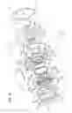 Fig. 02 - Rotary device having a circular guide ring