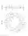 Fig. 18 - Torque transmission joint and electric power steering device