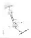 Fig. 19 - Torque transmission joint and electric power steering device