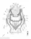 Fig. 07 - Low engagement force fluid coupling