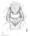 Fig. 08 - Low engagement force fluid coupling