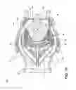 Fig. 11 - Low engagement force fluid coupling
