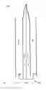 Fig. 07 - Combustion by controlled ionisation