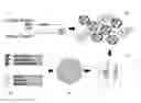Fig. 01 - SYSTEMS AND METHODS TO FACILITATE GENETIC RESEARCH