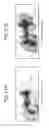 Fig. 22 - Moisture content observation device, moisture content observation method, cultivation device and sample