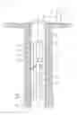 Fig. 01 - Method and system of evaluating cement bonds through tubing