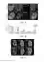 Fig. 02 - Use of aldehyde dehydrogenase as biomarker for beta-cell dysfunction and loss