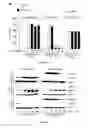 Fig. 07 - METHODS AND KITS FOR ANALYSING THE STEADY-STATE ACTIVATION OR INHIBITION OF ITAM SIGNALLING OF IMMUNORECEPTORS IN BLOOD LEUKOCYTES