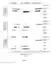 Fig. 08 - METHODS AND KITS FOR ANALYSING THE STEADY-STATE ACTIVATION OR INHIBITION OF ITAM SIGNALLING OF IMMUNORECEPTORS IN BLOOD LEUKOCYTES
