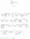 Fig. 02 - Preparation of bioconjugates and antibodies for the immunodetection of anatoxin-a