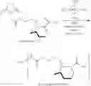 Fig. 22 - Preparation of bioconjugates and antibodies for the immunodetection of anatoxin-a