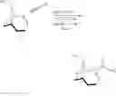 Fig. 33 - Preparation of bioconjugates and antibodies for the immunodetection of anatoxin-a