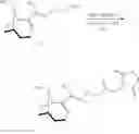Fig. 35 - Preparation of bioconjugates and antibodies for the immunodetection of anatoxin-a