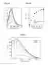 Fig. 06 - Method for analyzing protein-containing sample