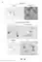 Fig. 45 - Method of genome-wide direct identification of electrophile-sensing targets