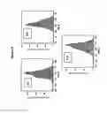 Fig. 10 - Method for determining the haemoglobin F content of an erythroid cell