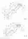 Fig. 07 - Single plane illumination microscope