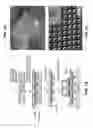 Fig. 02 - Polymer pen lithography