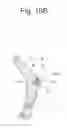 Fig. 17 - IMAGE FORMING APPARATUS