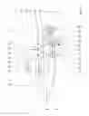 Fig. 02 - Sailboat steering system and method for steering a sailboat