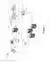 Fig. 02 - Increasing inclusiveness of search result generation through tuned mapping of text and images into the same high-dimensional space