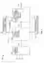 Fig. 02 - CONSTRAINED RANDOM DECISION FOREST FOR OBJECT DETECTION