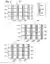 Fig. 08 - Display device for displaying a marked image field
