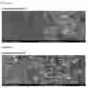 Fig. 03 - Cathode active material for lithium-sulfur battery, comprising metal sulfide nanoparticles, and method for producing same