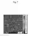 Fig. 08 - Stainless steel substrate