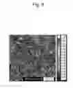 Fig. 09 - Stainless steel substrate