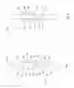 Fig. 02 - Forked electrical contact pair with elastic tail