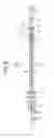 Fig. 09 - Laser oscillation apparatus
