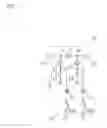 Fig. 02 - Acoustic wave filter device, multiplexer, radio-frequency front end circuit, and communication device