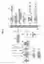 Fig. 07 - Memory card and moving image reproduction device