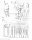 Fig. 13 - SIGNAL PROCESSING DEVICE AND METHOD, AND PROGRAM