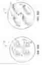 Fig. 22 - MODULAR HEARING ASSISTANCE SYSTEM
