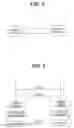 Fig. 02 - WIRELESS SYSTEM AND WIRELESS APPARATUS