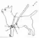 Fig. 01 - Side lead animal harness