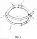 Fig. 02 - Side lead animal harness